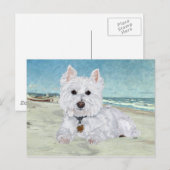 Westie op het strand briefkaart (Voorkant / Achterkant)