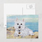 Westie op het strand briefkaart (Voorkant / Achterkant)