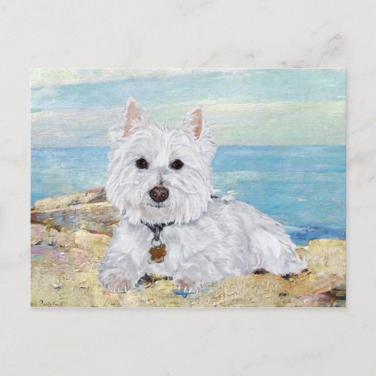 Westie op het strand briefkaart (Voorkant)