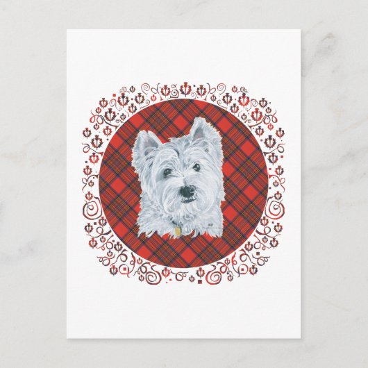 Westie op Tartan Briefkaart (Voorkant)
