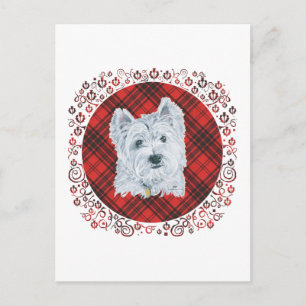 Westie op Tartan Briefkaart