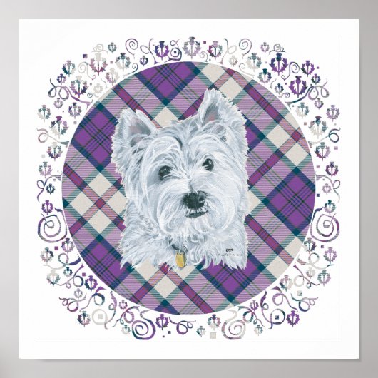 Westie op Tartan Poster (Voorkant)