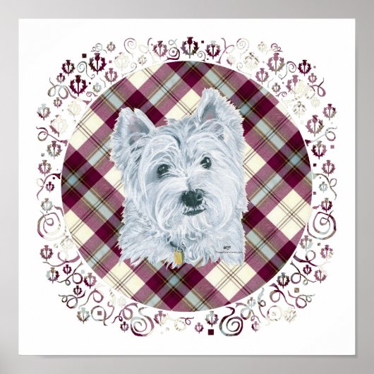 Westie op Tartan Poster (Voorkant)