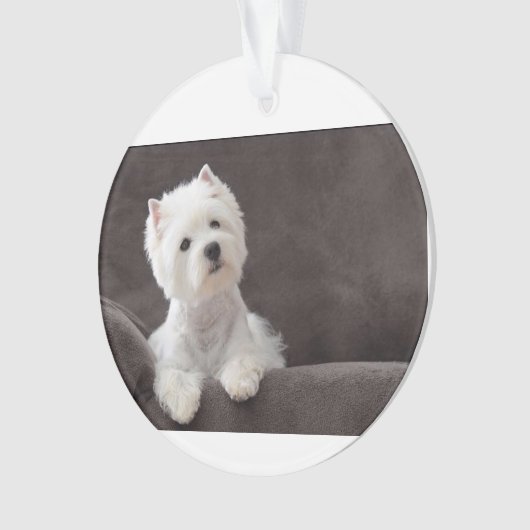 Westie Ornament (voorkant)