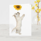 Westie Pup en Zonnebloem Kaart (Gele Bloem)