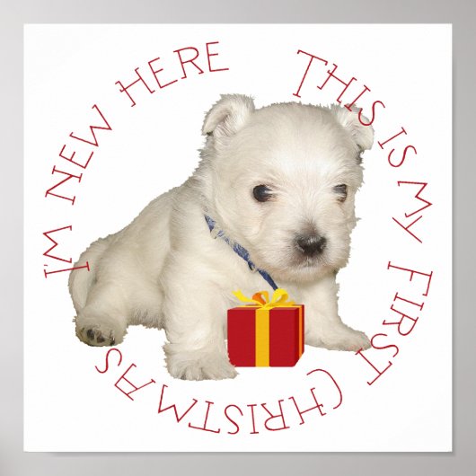 Westie Puppy Eerste Kerstmis Poster (Voorkant)
