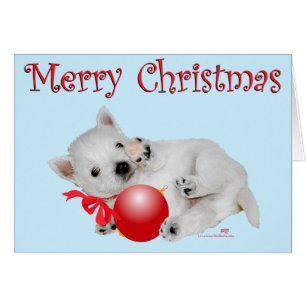 Westie Puppy Kerstmis