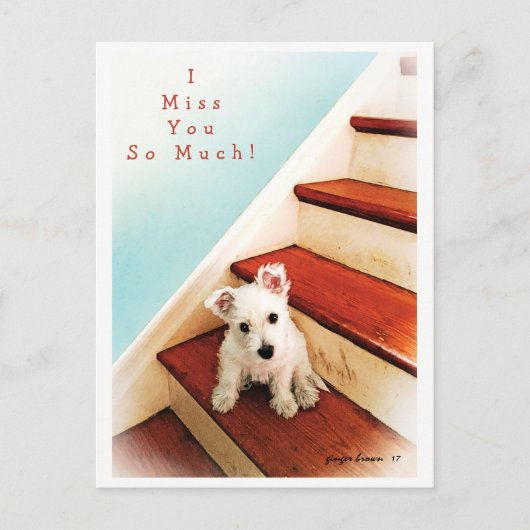 Westie Puppy op stap die je mist! #2 Briefkaart (Voorkant)