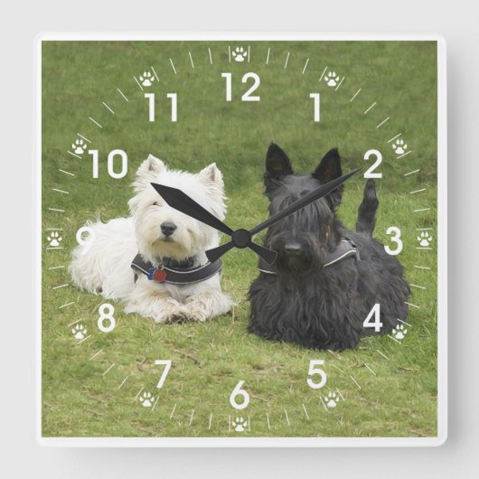 Westie & Scottie Green Grass Vierkante Klok (Voorkant)