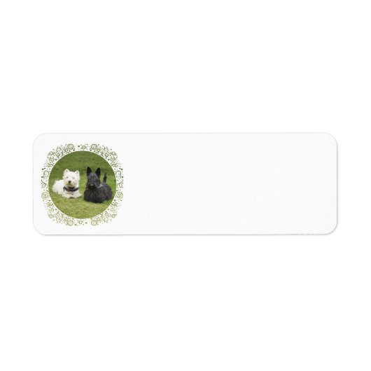 Westie & Scottie Groen Gras Etiket (Voorkant)