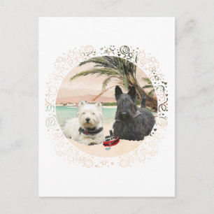 Westie & Scottie op Palmy Beach Briefkaart