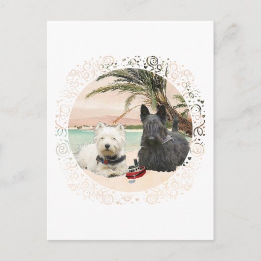 Westie & Scottie op Palmy Beach Briefkaart (Voorkant)