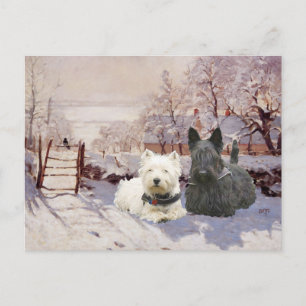 Westie & Scottie Winter Ekster Briefkaart