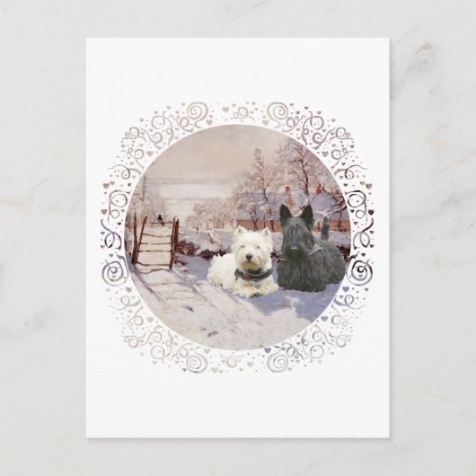 Westie & Scottie Winter Ekster Briefkaart (Voorkant)