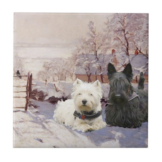 Westie & Scottie Winter Ekster Tegeltje (Voorkant)