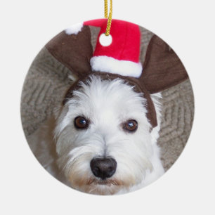 Westie-sierplant Keramisch Ornament