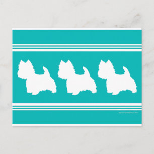 Westie Silhouette op Turquoise Briefkaart