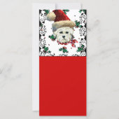 Westie Sinterklaas (Voorkant)