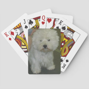 Westie-spelkaarten Speelkaarten