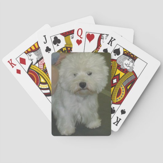 Westie-spelkaarten Speelkaarten (Achterkant)