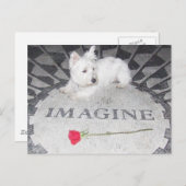 Westie stelt wereldvrede voor briefkaart (Voorkant / Achterkant)