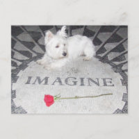 Westie stelt wereldvrede voor