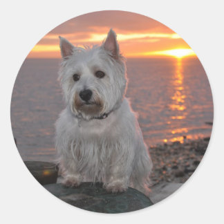 Westie Sunset Ronde Sticker