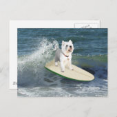 Westie Surfer Briefkaart (Voorkant / Achterkant)
