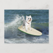 Westie Surfer Briefkaart (Voorkant)