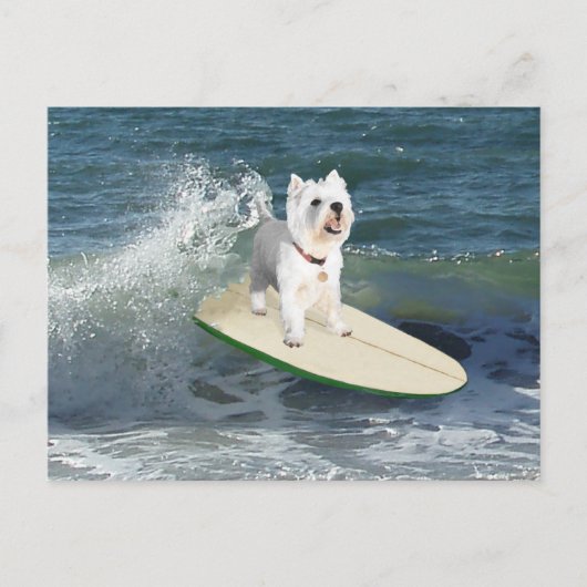 Westie Surfer Briefkaart (Voorkant)