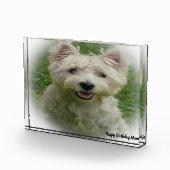 Westie Terrier Dog. Fotoblokken (Rechts)