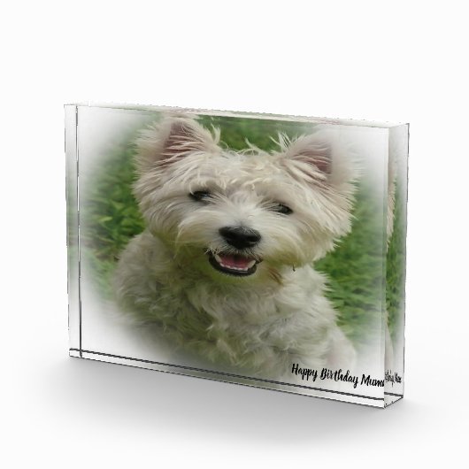 Westie Terrier Dog. Fotoblokken (Rechts)