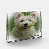Westie Terrier Dog. Fotoblokken (Links)