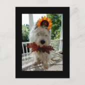 Westie Thanksgiving Turkey Bowtie Feestdagenkaart (Voorkant)