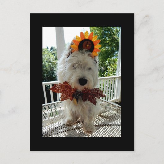 Westie Thanksgiving Turkey Bowtie Feestdagenkaart (Voorkant)