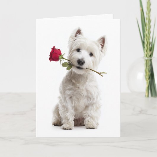 Westie Valentine – Bright Love & Devotion Kaart (Voorkant)
