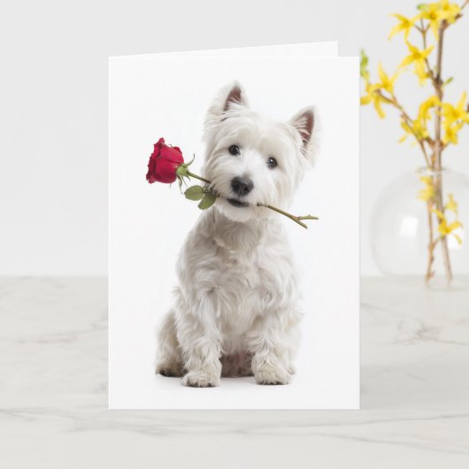 Westie Valentine – Bright Love & Devotion Kaart (Gele Bloem)