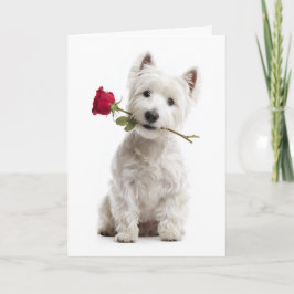 Westie Valentine – Helder liefde & toewijding Kaart