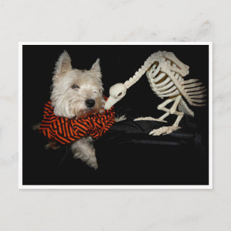 Westie Vulture Skeleton Halloween Briefkaart