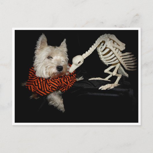 Westie Vulture Skeleton Halloween Briefkaart (Voorkant)