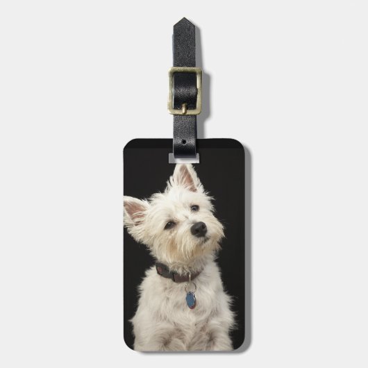 Westie (West Highland shiier) met halsband Bagagelabel (Voorkant verticaal)