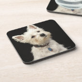 Westie (West Highland shiier) met halsband Bier Onderzetter (Linkerzijde)