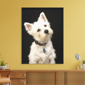 Westie (West Highland shiier) met halsband Canvas Afdruk (Insitu (Woonkamer))