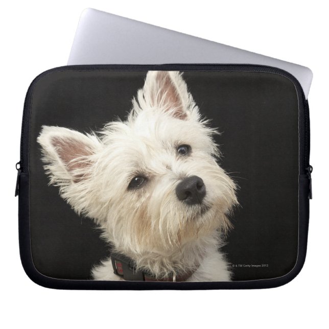 Westie (West Highland shiier) met halsband Laptop Sleeve (Voorkant)