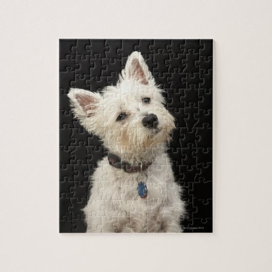 Westie (West Highland shiier) met halsband Legpuzzel (Verticaal)