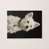 Westie (West Highland shiier) met halsband Legpuzzel (Horizontaal)