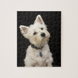 Westie (West Highland shiier) met halsband Legpuzzel