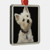 Westie (West Highland shiier) met halsband Metalen Ornament (Rechts)