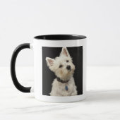 Westie (West Highland shiier) met halsband Mok (Links)