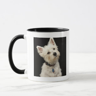 Westie (West Highland shiier) met halsband Mok